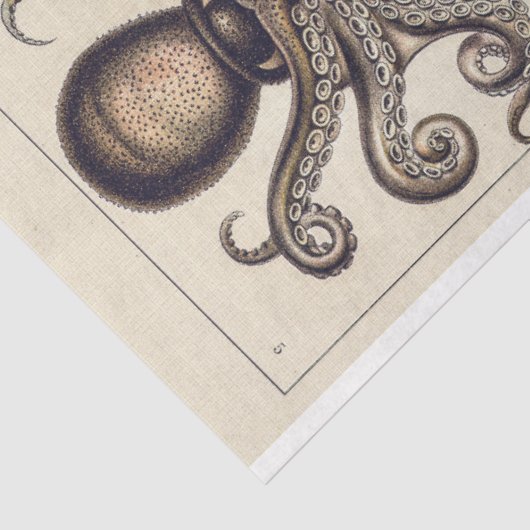 Octopus Squid Gamochonia Decoupage tissuepapier (Detail)