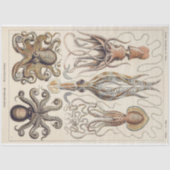 Octopus Squid Gamochonia Decoupage tissuepapier (Voorkant)
