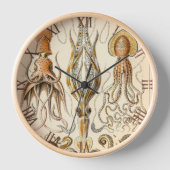 Octopus Squid Gamochonia door Ernst Haeckel (Voorkant)