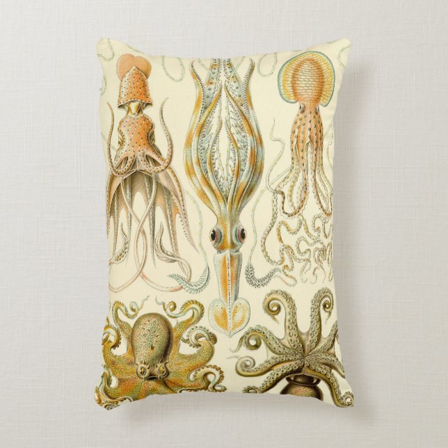  Octopus Squid Gamochonia door Ernst Haeckel Accent Kussen (Voorkant(Verticaal))