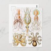Octopus Squid, Gamochonia door Ernst Haeckel Briefkaart (Voorkant / Achterkant)