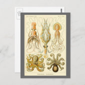 Octopus Squid Gamochonia door Ernst Haeckel Briefkaart (Voorkant / Achterkant)