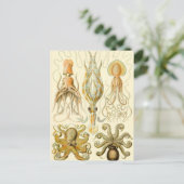  Octopus Squid Gamochonia door Ernst Haeckel Briefkaart (Staand voorkant)