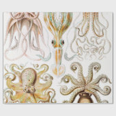 Octopus Squid, Gamochonia door Ernst Haeckel Cadeaupapier (Vlak)