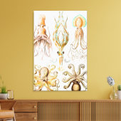 Octopus Squid, Gamochonia door Ernst Haeckel Canvas Afdruk (Insitu (Woonkamer))