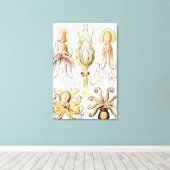 Octopus Squid, Gamochonia door Ernst Haeckel Canvas Afdruk (Insitu (Houten vloer))