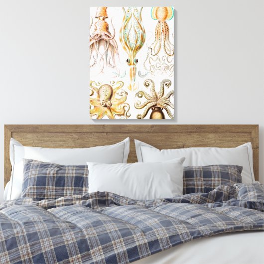 Octopus Squid, Gamochonia door Ernst Haeckel Canvas Afdruk (Insitu (Slaapkamer))