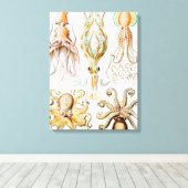Octopus Squid, Gamochonia door Ernst Haeckel Canvas Afdruk (Insitu (Houten vloer))