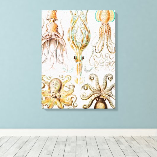 Octopus Squid, Gamochonia door Ernst Haeckel Canvas Afdruk (Insitu (Houten vloer))