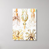 Octopus Squid, Gamochonia door Ernst Haeckel Canvas Afdruk (Voorkant)