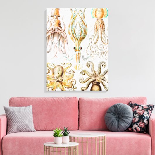 Octopus Squid, Gamochonia door Ernst Haeckel Canvas Afdruk (Insitu (Woonkamer))