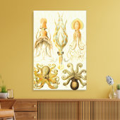 Octopus Squid Gamochonia door Ernst Haeckel Canvas Afdruk (Insitu (Woonkamer))
