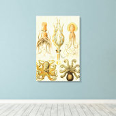  Octopus Squid Gamochonia door Ernst Haeckel Canvas Afdruk (Insitu (Houten vloer))