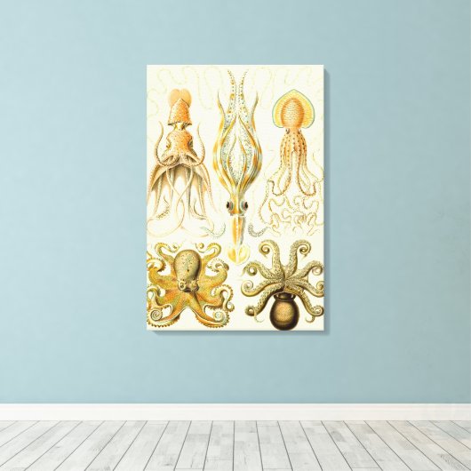  Octopus Squid Gamochonia door Ernst Haeckel Canvas Afdruk (Insitu (Houten vloer))
