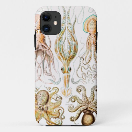 Octopus Squid, Gamochonia door Ernst Haeckel Case-Mate iPhone Case (Achterkant)