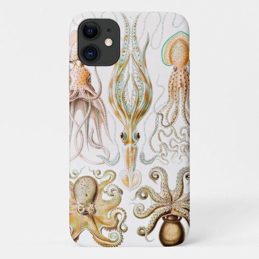 Octopus Squid, Gamochonia door Ernst Haeckel Case-Mate iPhone Case (Achterkant)