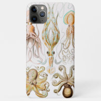Octopus Squid, Gamochonia door Ernst Haeckel
