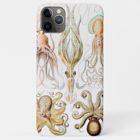 Octopus Squid, Gamochonia door Ernst Haeckel Case-Mate iPhone Case (Achterkant)
