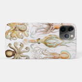 Octopus Squid, Gamochonia door Ernst Haeckel Case-Mate iPhone Case (Achterkant (horizontaal))