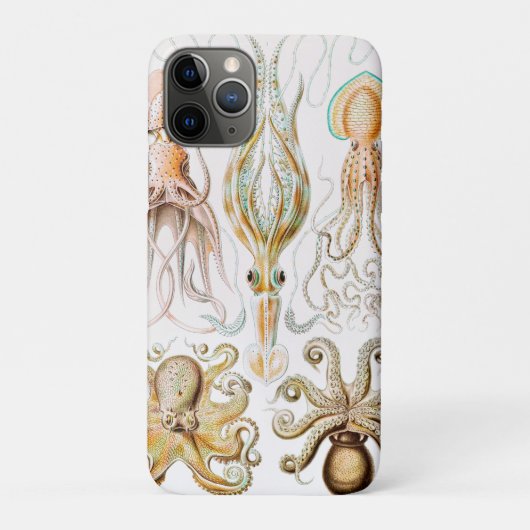 Octopus Squid, Gamochonia door Ernst Haeckel Case-Mate iPhone Case (Achterkant)