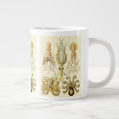  Octopus Squid Gamochonia door Ernst Haeckel Grote Koffiekop (Rechts)