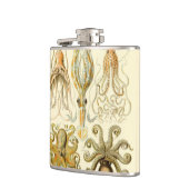 Octopus Squid Gamochonia door Ernst Haeckel Heupfles (Links)