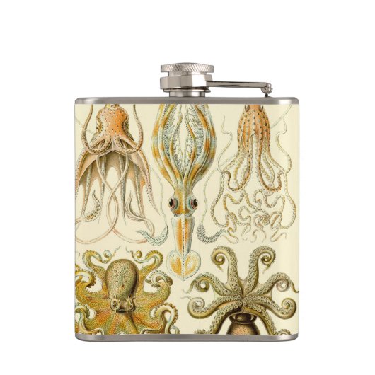  Octopus Squid Gamochonia door Ernst Haeckel Heupfles (Achterkant)