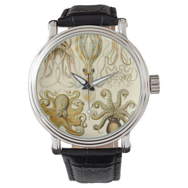  Octopus Squid Gamochonia door Ernst Haeckel Horloge (Voorkant)
