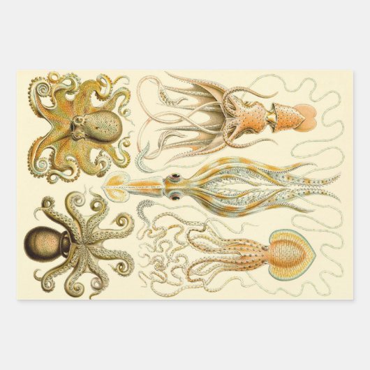  Octopus Squid Gamochonia door Ernst Haeckel Inpakpapier Vel (Voorkant 2)