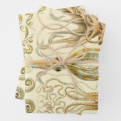  Octopus Squid Gamochonia door Ernst Haeckel Inpakpapier Vel (In situ)