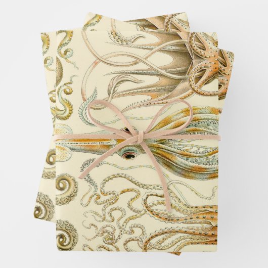 Octopus Squid Gamochonia door Ernst Haeckel Inpakpapier Vel (In situ)