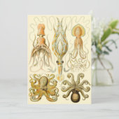 Octopus Squid Gamochonia door Ernst Haeckel Kaart (Staand voorkant)