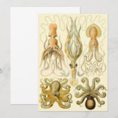 Octopus Squid Gamochonia door Ernst Haeckel Kaart (Voorkant / Achterkant)