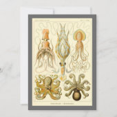 Octopus Squid Gamochonia door Ernst Haeckel Kaart (Voorkant)
