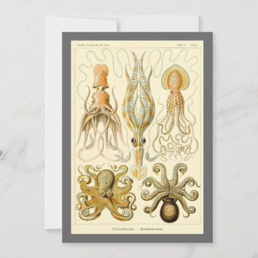 Octopus Squid Gamochonia door Ernst Haeckel Kaart (Voorkant)