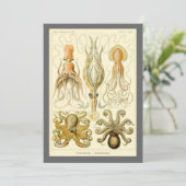 Octopus Squid Gamochonia door Ernst Haeckel Kaart (Staand voorkant)