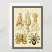 Octopus Squid Gamochonia door Ernst Haeckel Kaart (Voorkant / Achterkant)