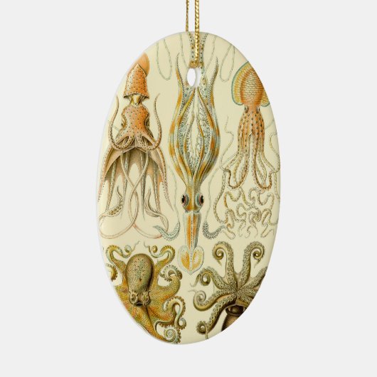  Octopus Squid Gamochonia door Ernst Haeckel Keramisch Ornament (Rechts)