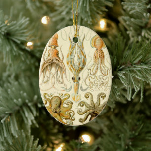 Octopus Squid Gamochonia door Ernst Haeckel Keramisch Ornament