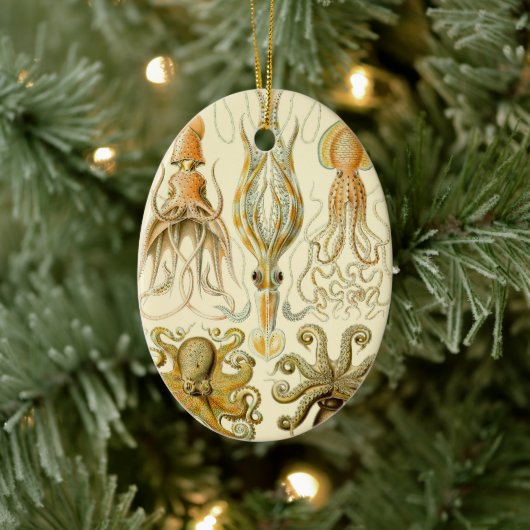  Octopus Squid Gamochonia door Ernst Haeckel Keramisch Ornament (Boom)