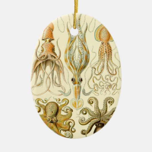  Octopus Squid Gamochonia door Ernst Haeckel Keramisch Ornament (Voorkant)