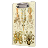  Octopus Squid Gamochonia door Ernst Haeckel Klembord (Links)