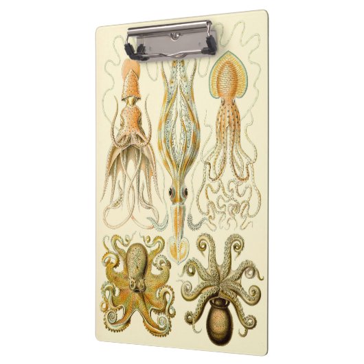  Octopus Squid Gamochonia door Ernst Haeckel Klembord (Links)