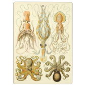  Octopus Squid Gamochonia door Ernst Haeckel Klembord (Achterkant)
