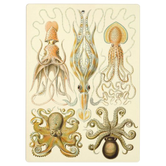  Octopus Squid Gamochonia door Ernst Haeckel Klembord (Achterkant)