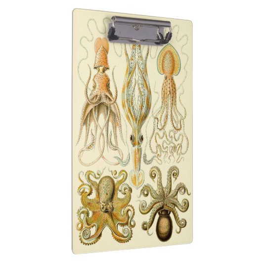  Octopus Squid Gamochonia door Ernst Haeckel Klembord (Rechts)