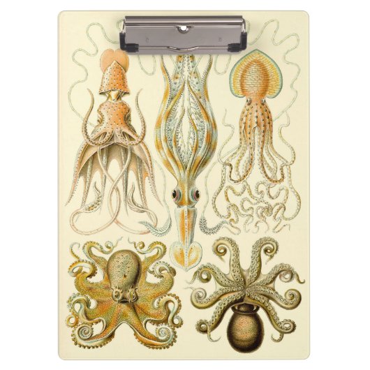  Octopus Squid Gamochonia door Ernst Haeckel Klembord (Voorkant)