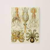 Octopus Squid Gamochonia door Ernst Haeckel Legpuzzel (Verticaal)