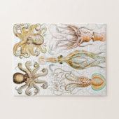 Octopus Squid, Gamochonia door Ernst Haeckel Legpuzzel (Horizontaal)