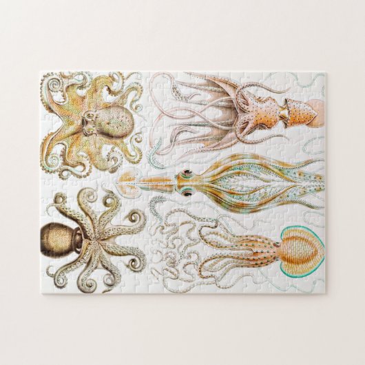 Octopus Squid, Gamochonia door Ernst Haeckel Legpuzzel (Horizontaal)